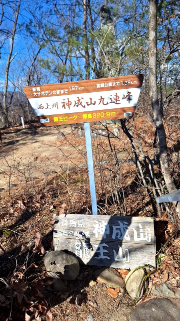 上州、神成山