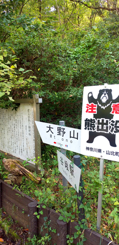 Cパートナーズハイキング同好会