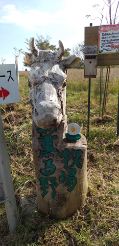 Cパートナーズハイキング同好会