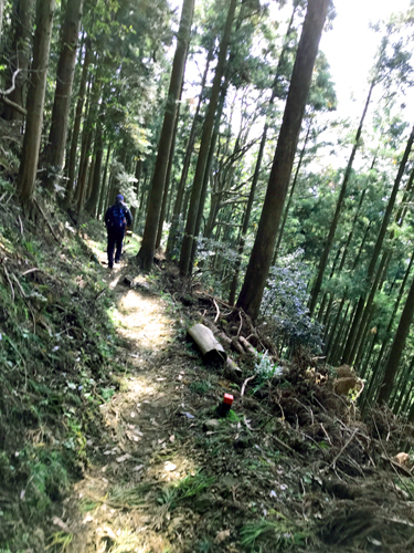 Cパートナーズ ハイキング同好会
