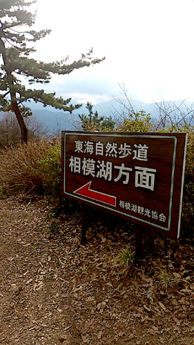 株式会社Cパートナーズ 営業日記 相模湖駅前のお店、かどや食堂