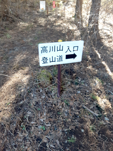 株式会社Cパートナーズ 高川山ハイキング