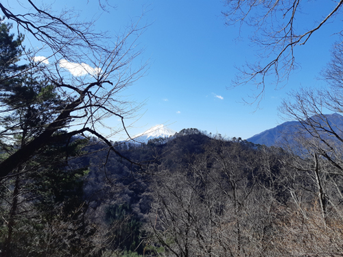 株式会社Cパートナーズ 高川山ハイキング