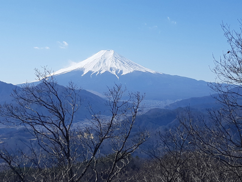 株式会社Cパートナーズ 高川山ハイキング