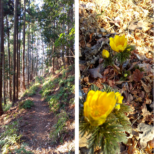 株式会社Cパートナーズ 四阿屋山登山