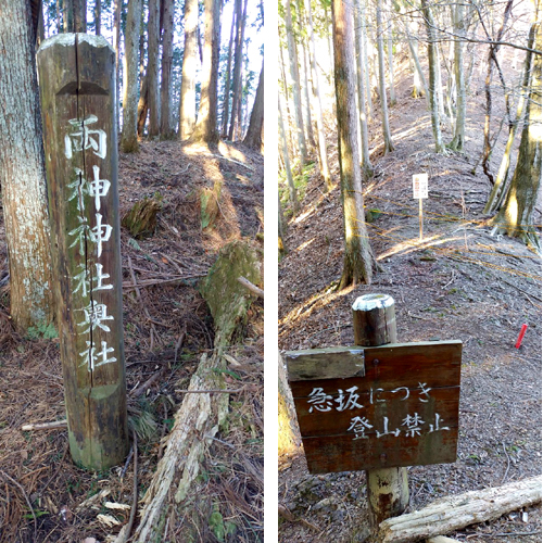 株式会社Cパートナーズ 四阿屋山登山