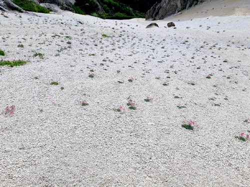 北アルプスデビュー 燕山荘と燕岳山頂