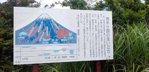 精進湖登山口よりパノラマ台へ