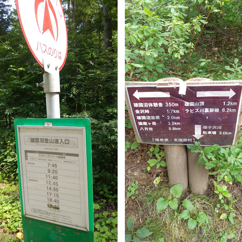 裏磐梯の雄国沼湿原を歩く