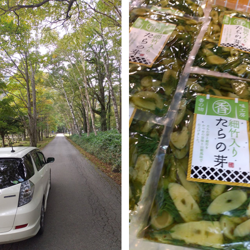 日光湯元宿から菅沼・丸沼へ