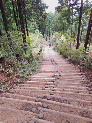 御岳山・日の出山登山