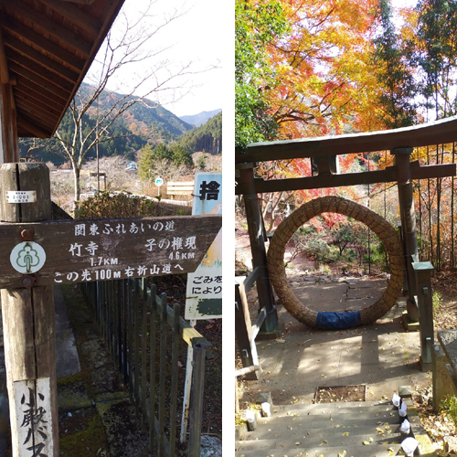 武蔵野の竹寺から子の権現へ