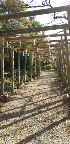 武蔵野の竹寺から子の権現へ