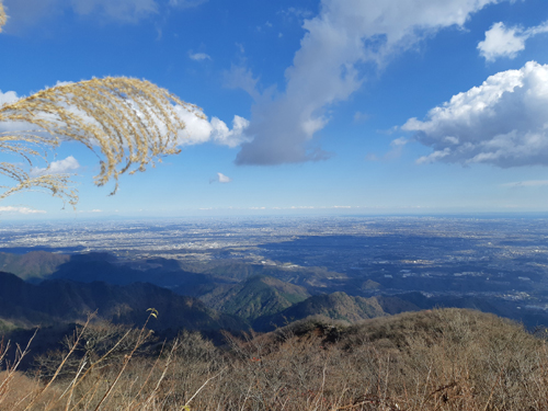 大山 ハイキング