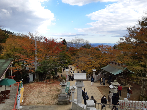大山 ハイキング