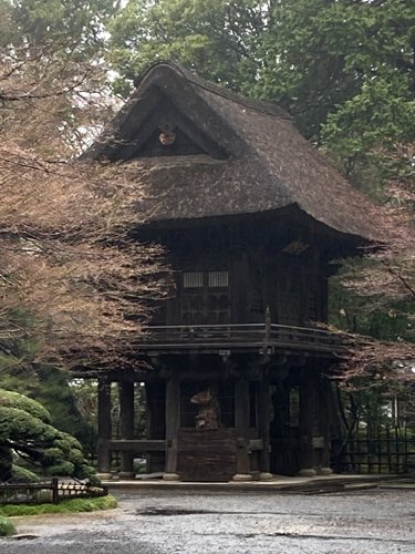 新座市野火止の金鳳山平林寺