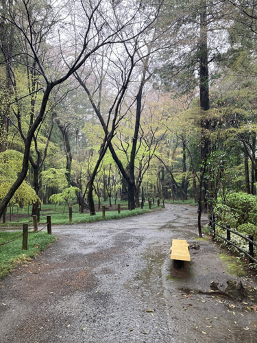 新座市野火止の金鳳山平林寺