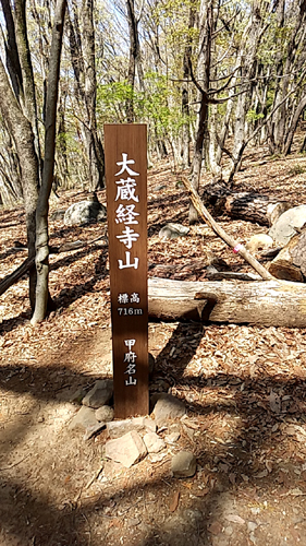 山梨百名山 大蔵経寺山