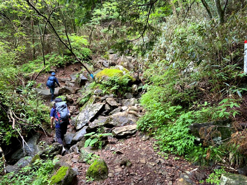 箱根の明神が岳へ