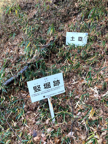 武田氏館跡 躑躅ヶ崎館