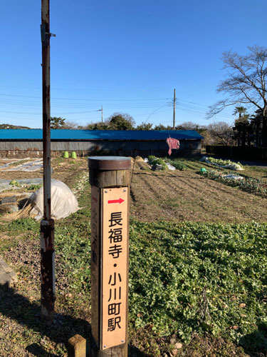 石尊山から小川町へ
