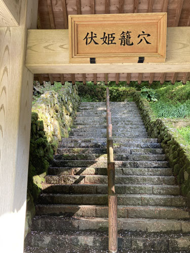 千葉の低山の富山から伏姫籠穴へ