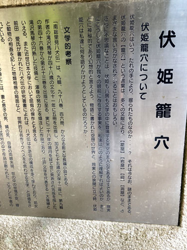 千葉の低山の富山から伏姫籠穴へ