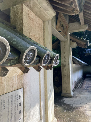 千葉の低山の富山から伏姫籠穴へ
