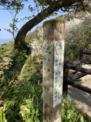 千葉の低山の富山から伏姫籠穴へ