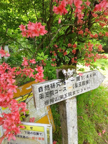 日本百名山の筑波山