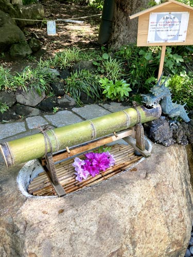 鎌倉殿と和田一族