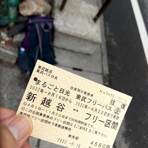 東武鉄道で日光のクリンソウを見てきました