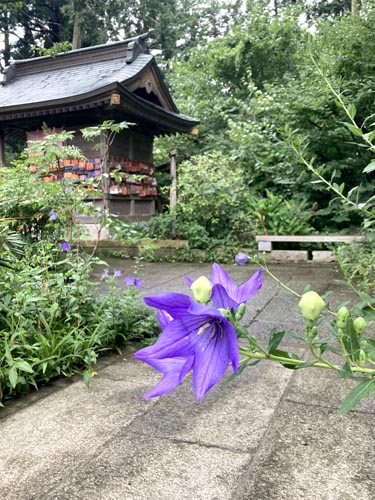日本一の恵比寿様がある大前恵比寿神社