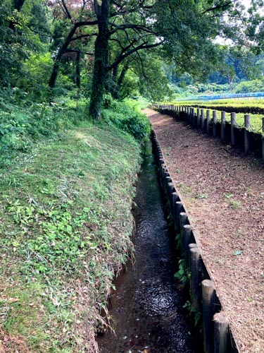 野火止用水