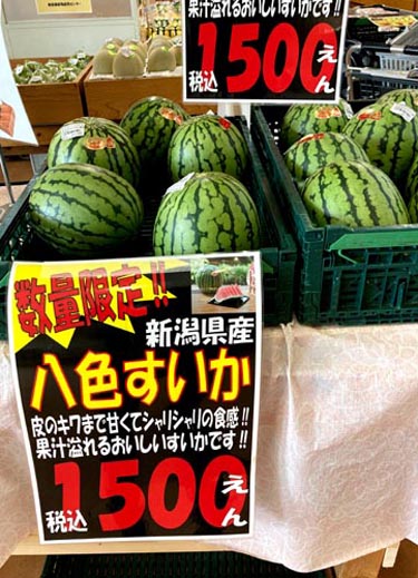 野火止用水