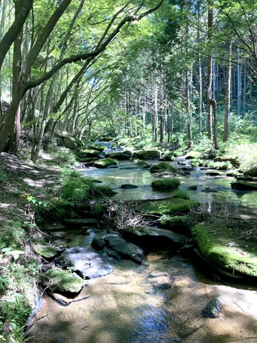 東北最南端の秘境 滝川渓谷