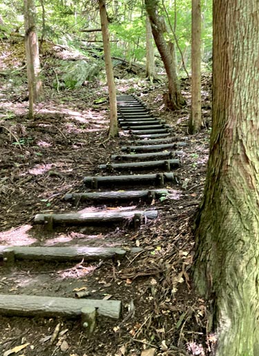 東北最南端の秘境 滝川渓谷