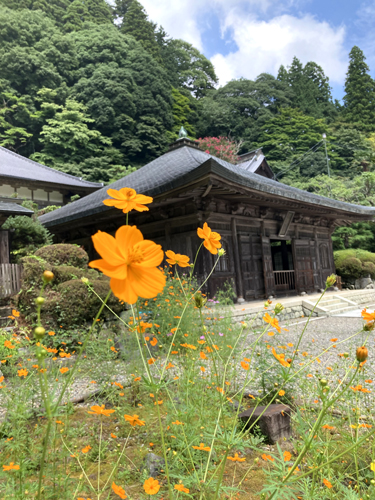 JR東日本のCMで吉永小百合さんが登場した大田原市の雲巌寺(雲岩寺)