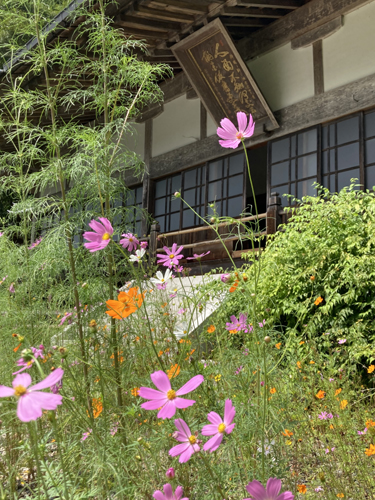 JR東日本のCMで吉永小百合さんが登場した大田原市の雲巌寺(雲岩寺)