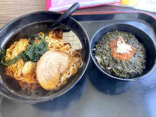 鋸山の中腹に広がる日本寺