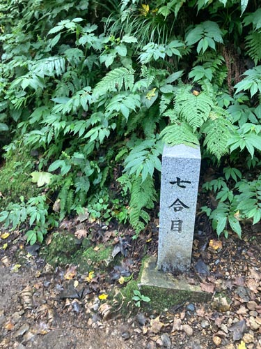上越のお社の弥彦神社から弥彦山へ