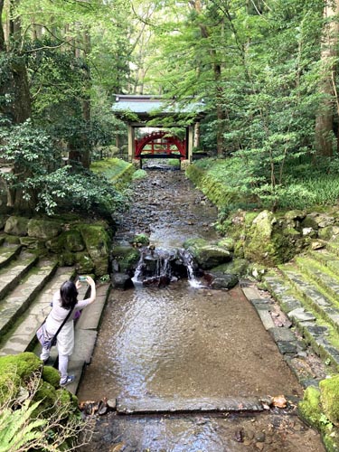 上越のお社の弥彦神社から弥彦山へ