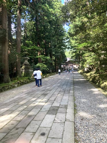 上越のお社の弥彦神社から弥彦山へ