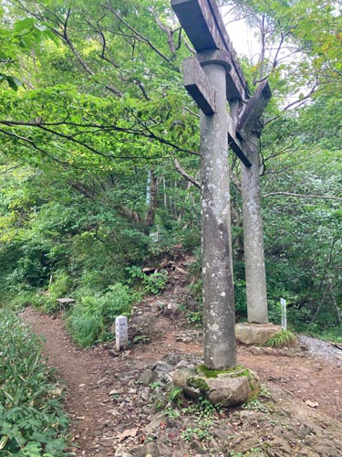 上越のお社の弥彦神社から弥彦山へ