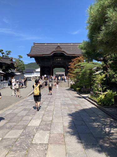 牛に引かれて善光寺参り