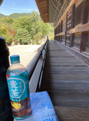 牛に引かれて善光寺参り