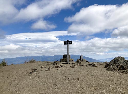 草花と眺望が楽しめる入笠山