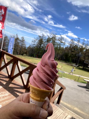 草花と眺望が楽しめる入笠山