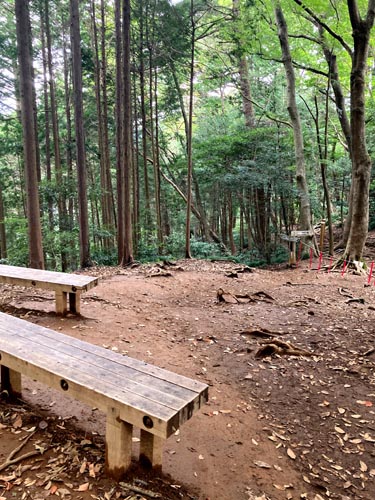 秋の高尾山は人でいっぱい。