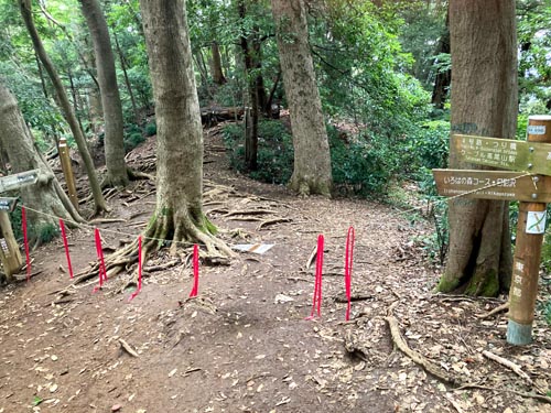 秋の高尾山は人でいっぱい。